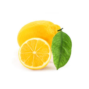 aliquam quaerat voluptatem