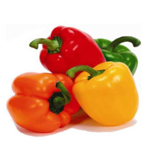 Capsicum